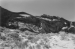 Landscape Arch - Arches Nat Park, Utah - United States of America